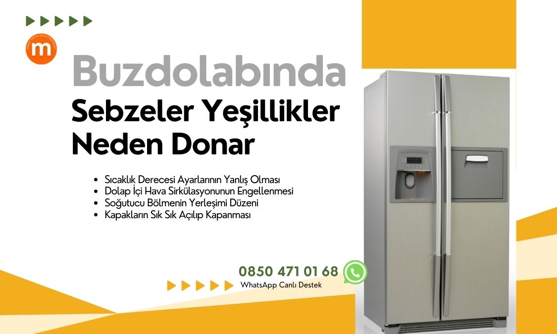 Buzdolabında Sebzeler Yeşillikler Neden Donar